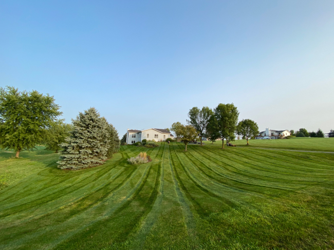 Freshly maintained lawn in Lake Carroll
