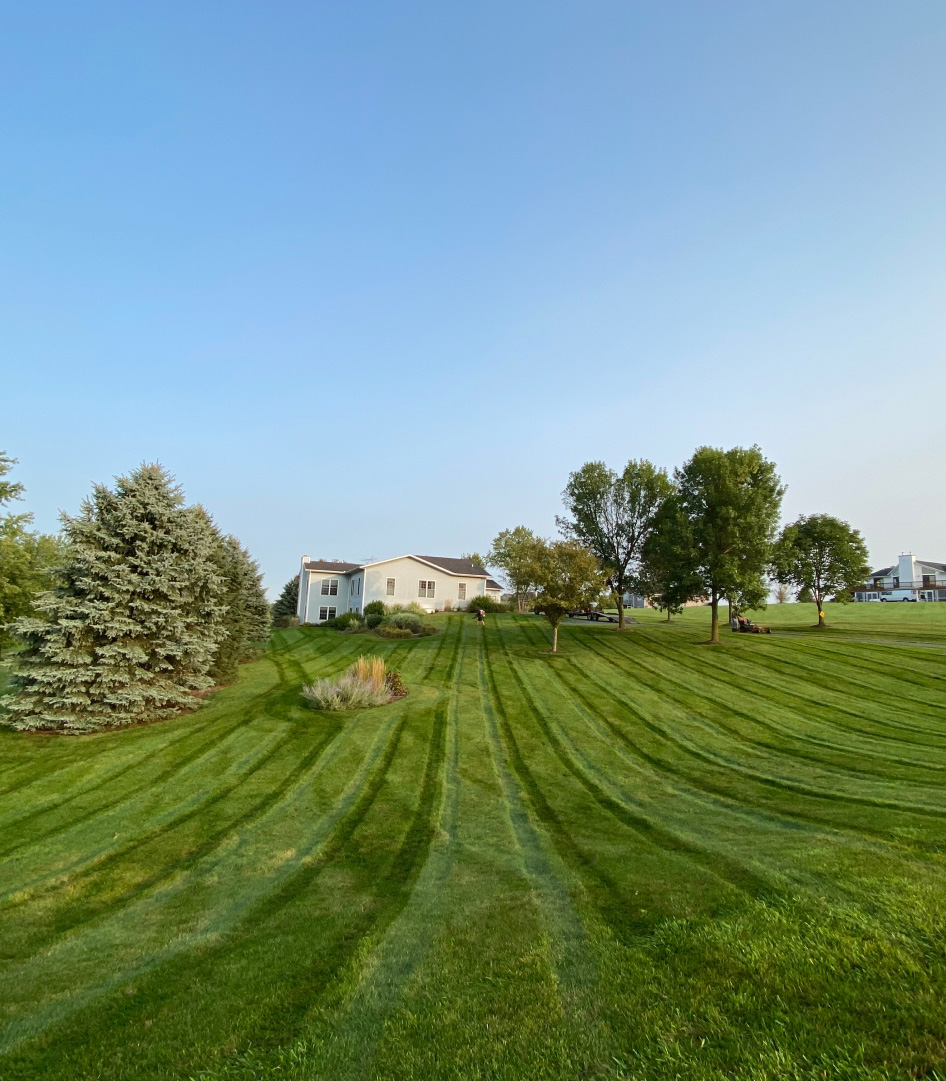 Forest Green Trees equipment and landscaping work